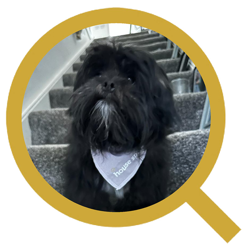 Cooper , Company Mascot
